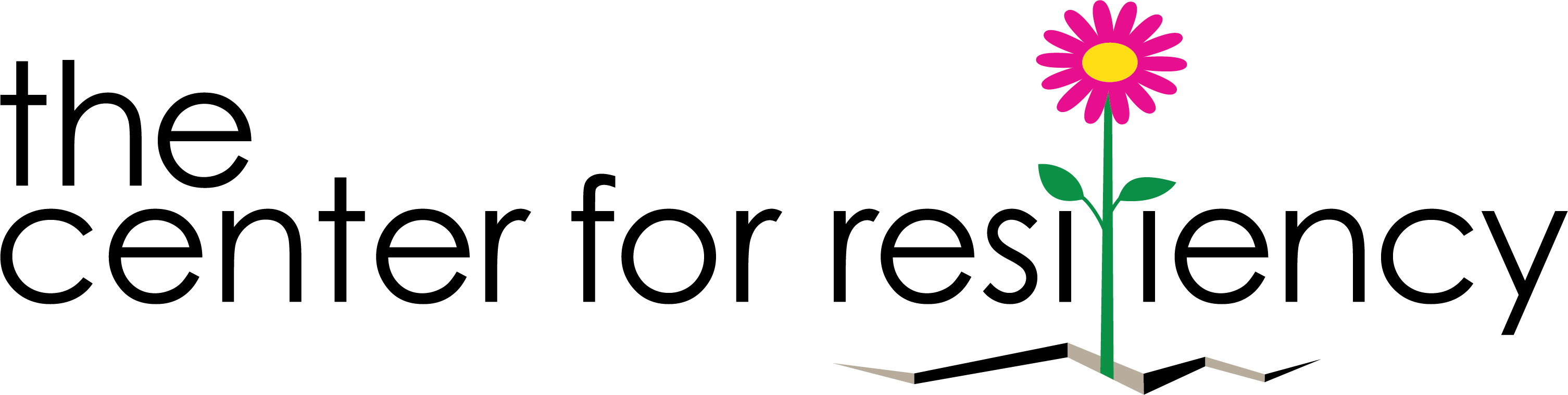 The Center for Resiliency